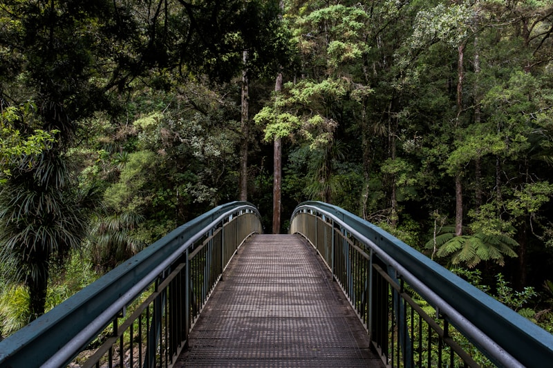 Portofolio image